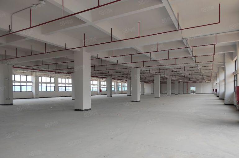 黄江全新标准独栋24000重工业厂房出租，大小可分租
