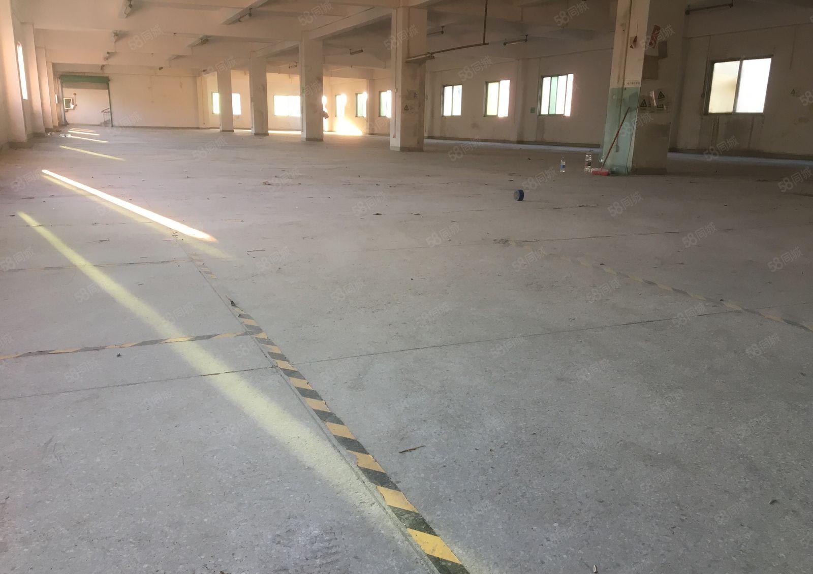 黄江一楼厂房1500平方米。价格实惠可分租