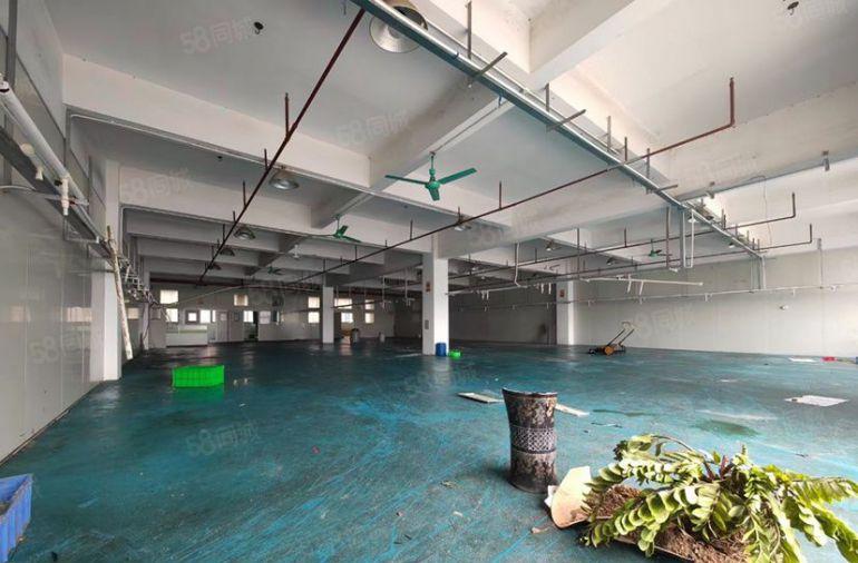 黄江田心独院楼上1300平厂房仓库出租，带装修消防喷淋3吨货