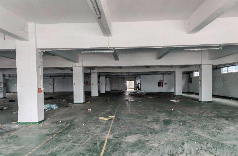 黄江镇田美社区原房东精装修，，1550平厂房出租