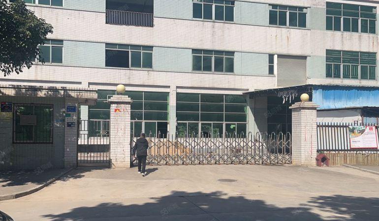 黄江本地房东新出标准独院带牛角位。适合五金注塑电子加工等行业