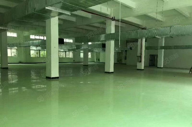 黄江镇原房东独院厂房招租三层3600平米九成新