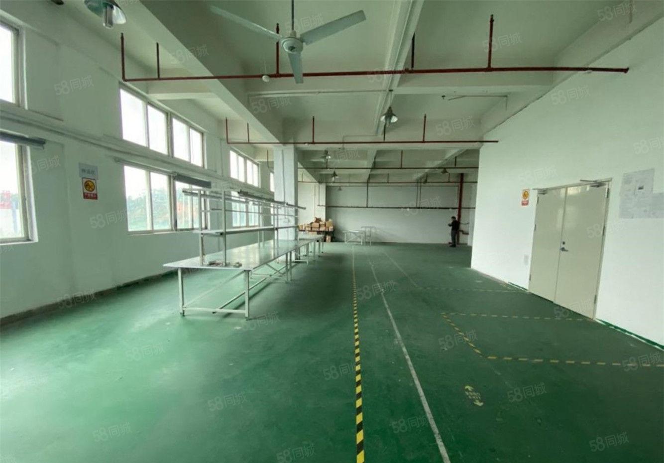 黄江精装带办公室厂房出租3楼900方，工业用地可办环评易招工