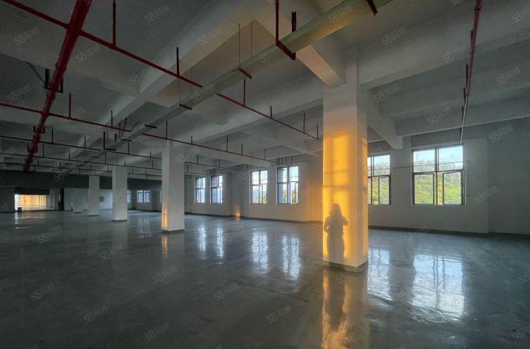 黄江临深全新厂房单价13块低价出租，600平起分租