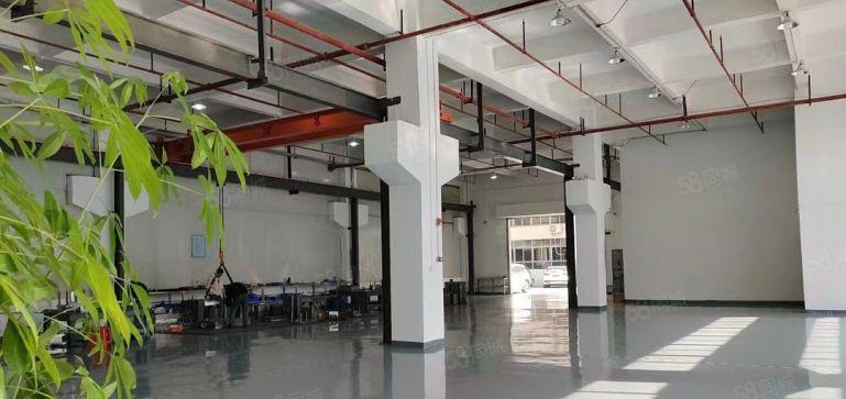 15元黄江镇标准一楼厂房出租面积1000平方楼层高7米可分租