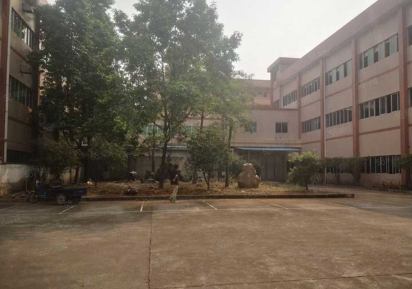 黄江镇合路工业区新出一二楼标准花园式厂房，每层1350平。