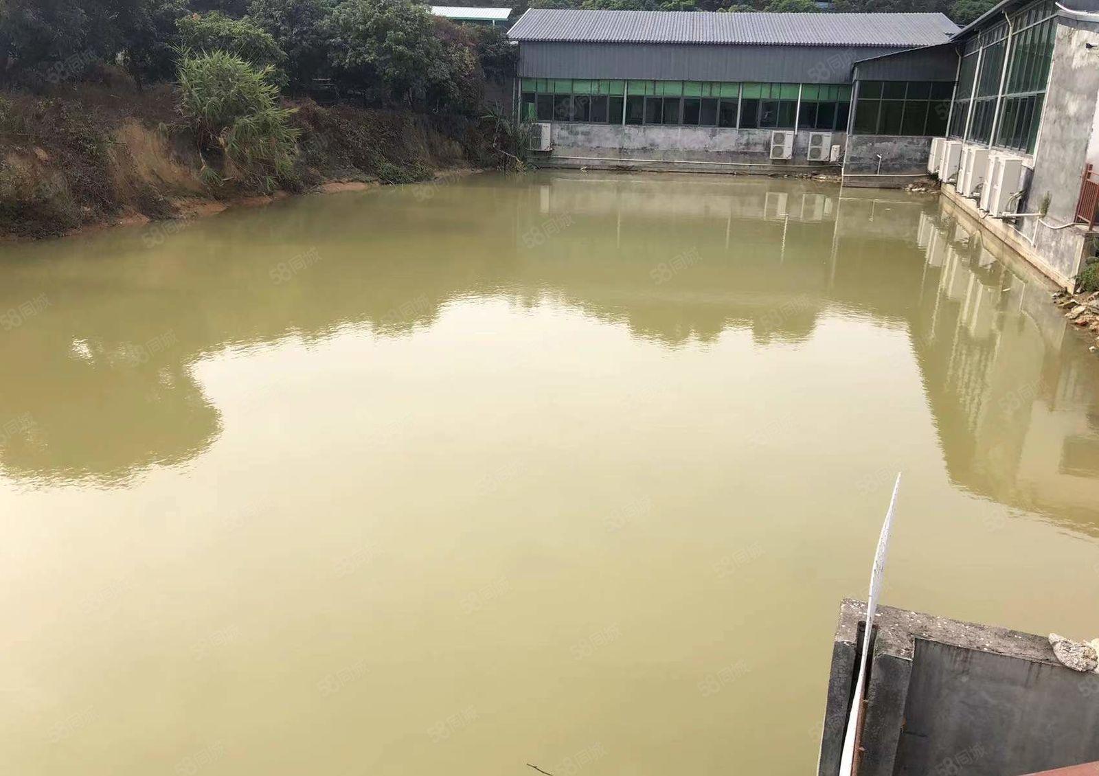 东莞黄江生态农庄休闲娱乐亲自体验采摘干农活的乐趣，平价出价