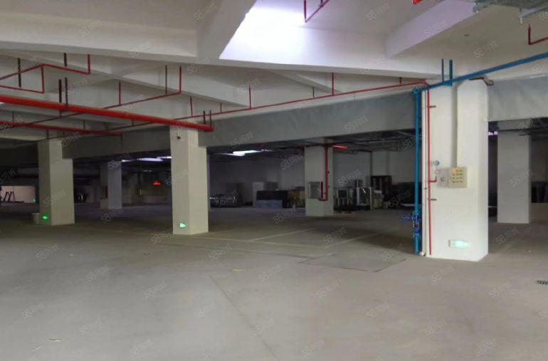 15块一楼，适合仓库，物流，全新厂房，大园区形象好