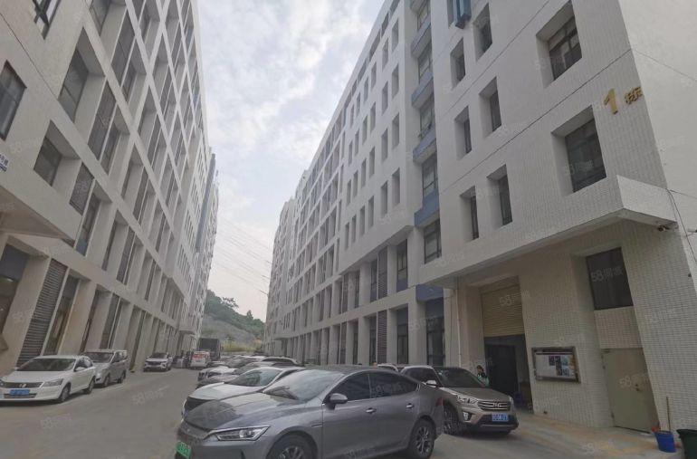 靠深圳黄江田心工业园低价厂房分租一二楼各1500带装修易招工