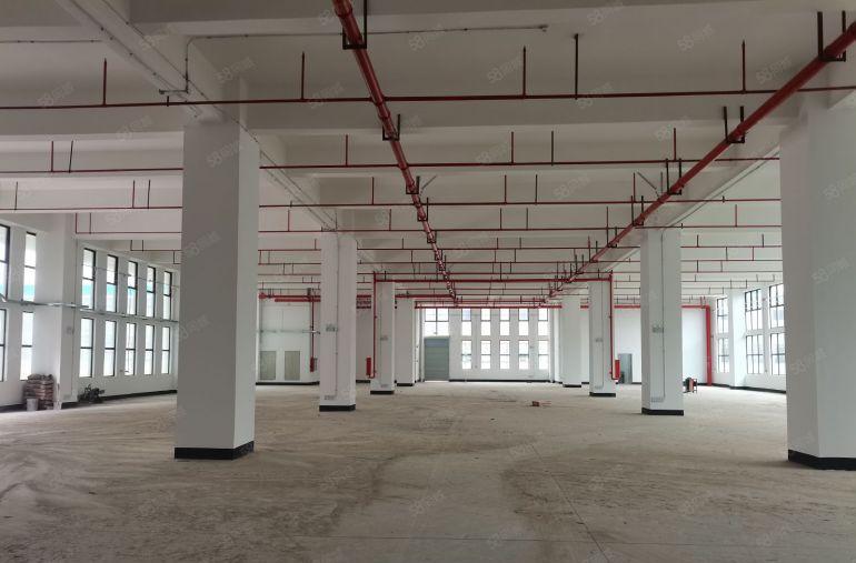 黄江星光村辰星路4号 原房东全新厂房24000平出租 可分租