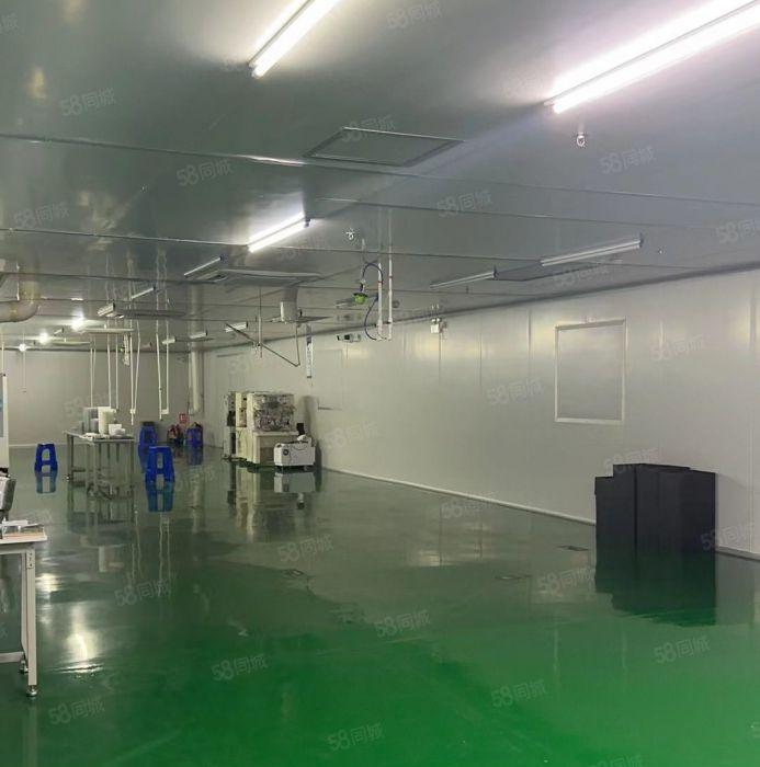 黄江临深新出楼上1100平方 现成装修办公室无尘车间
