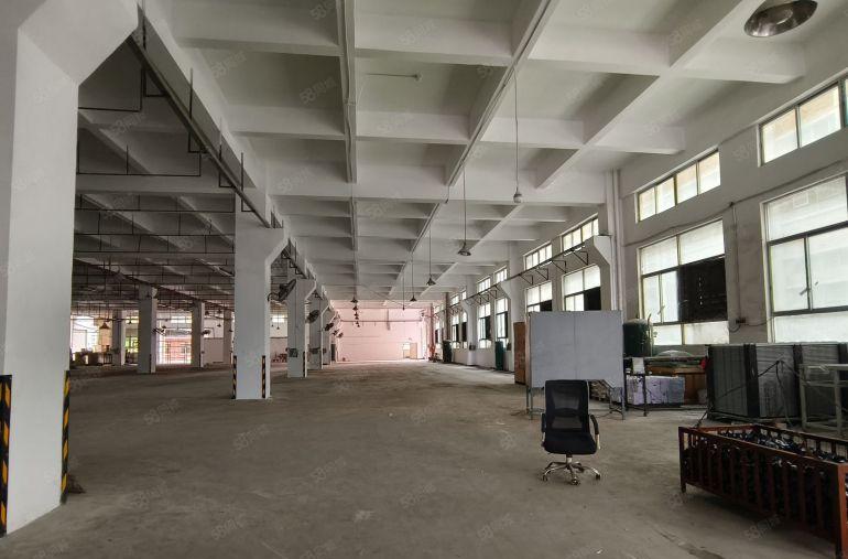 大朗黄江厂房出租高速口石厦标准厂房一楼4000平方出租7米高