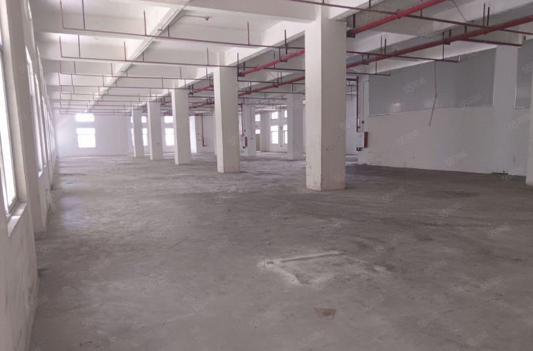 原房东一楼，23一平，新厂房大园区形象好，空地大好停车