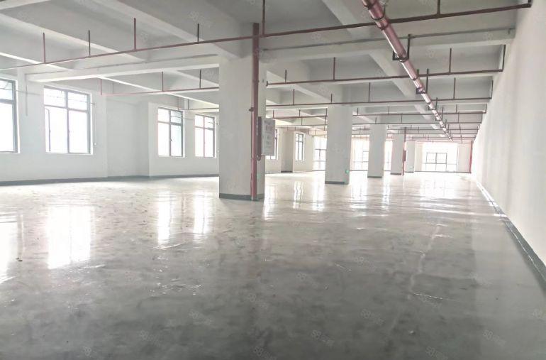 整层2500平，原房东10一平出租，全新厂房，空地大好停车