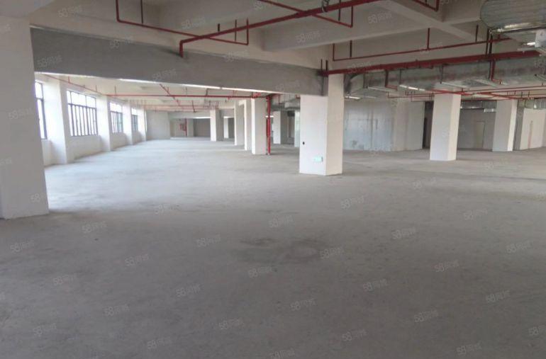 原房东11块一平新厂房，采光好，使用率高，大园区形象好