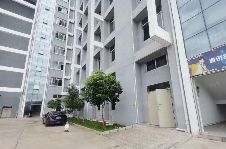 15块一楼，适合仓库，物流，全新厂房，大园区形象好