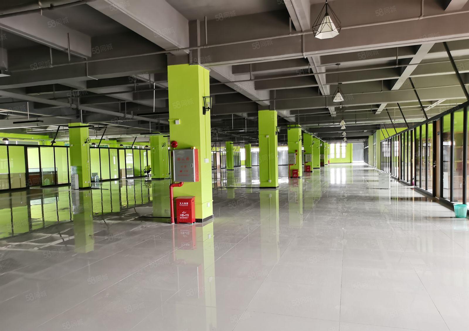 黄江镇原房东独门独院厂房12000平方，宿舍2500平方招租