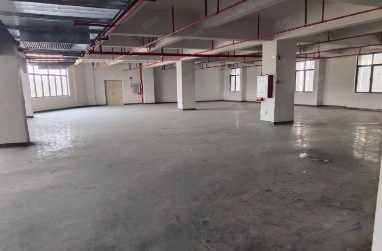 15块一楼，适合仓库，物流，全新厂房，大园区形象好