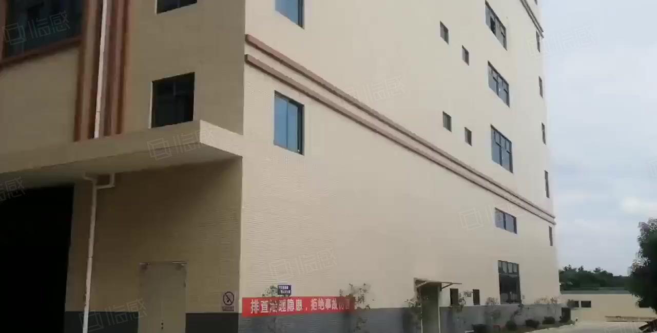 新出黄江带牛角厂房出租一楼1700平方，高7米，精装修办公室