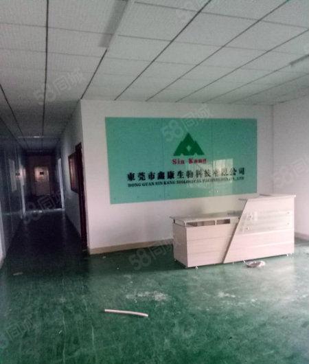 黄江新出楼上带地坪漆厂房1350平米