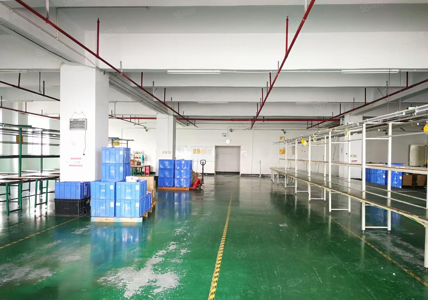 黄江高速出口原房东独院厂房3000平现成水电可以分租大小面积