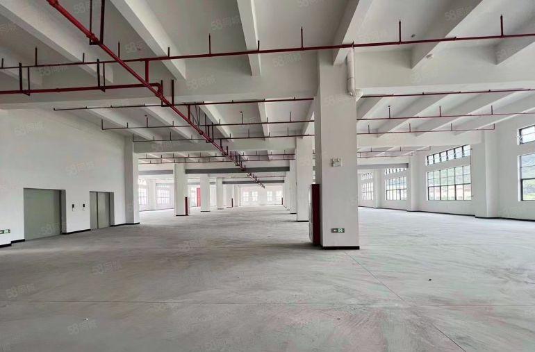 黄江太子酒店旁全新原房东厂房大小分租空地大好办环评12块起租