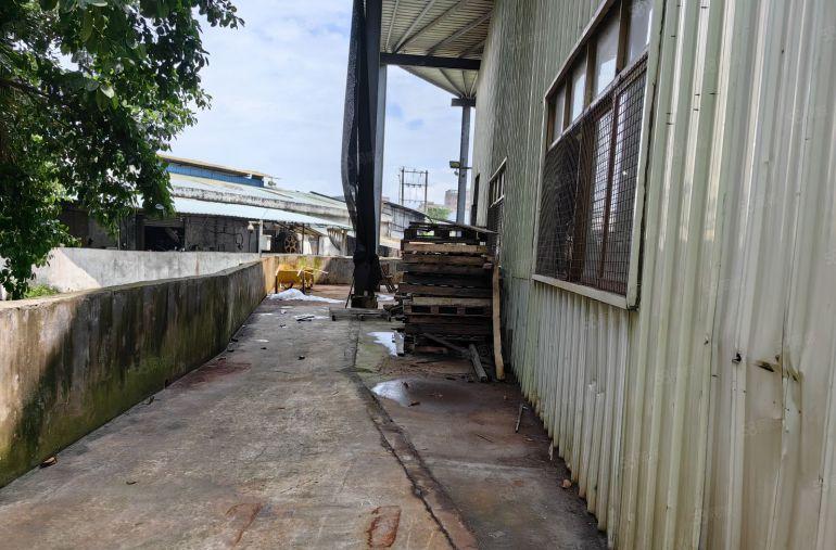 黄江镇星光村原房东独院钢构厂房1450平实际面积只要18元