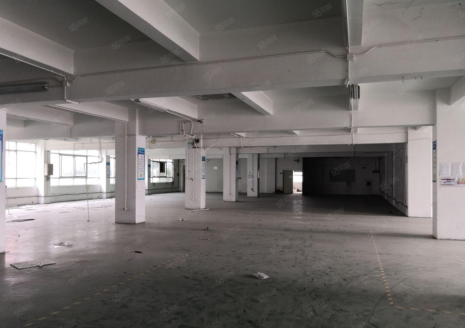 黄江镇高速出口标准厂房独院10000平米出租