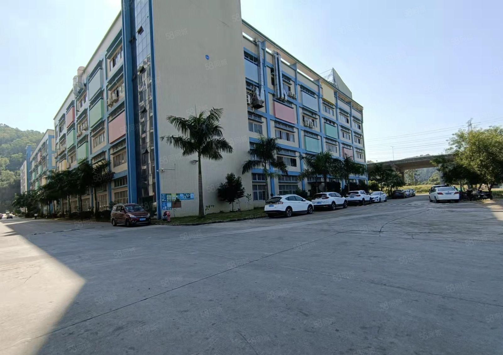 黄江镇新出原房东厂房出租整层4000平方无公摊