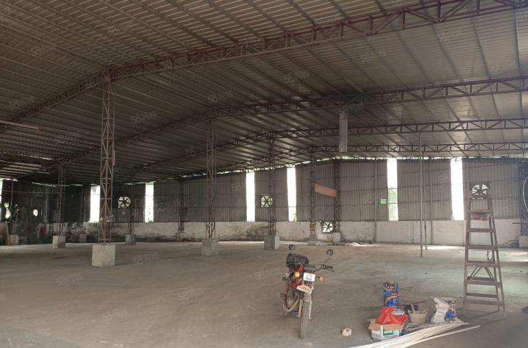 临深黄江镇 长龙钢结构8米单层厂房仅租18块