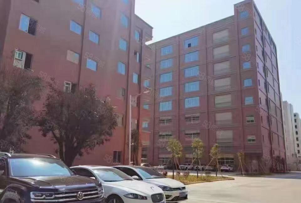 黄江板湖一楼1360平米精装修。价格实惠厂房