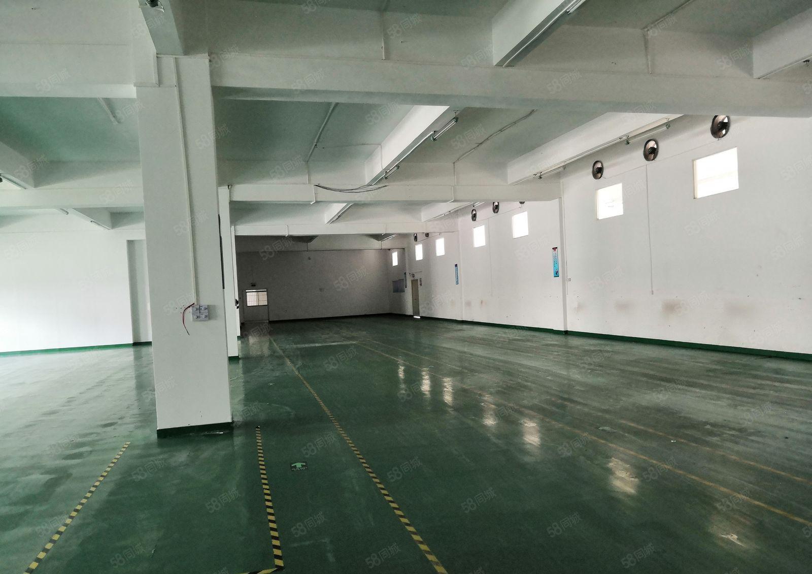 黄江北岸新出楼上1200平米主线到位有办公室装修