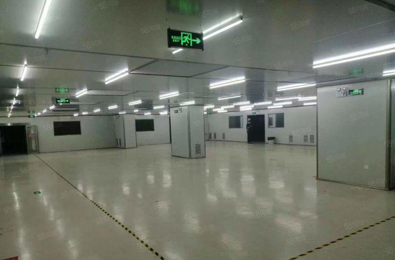 黄江高速出口旁原房东超靓独院实际面积13000平低价出租