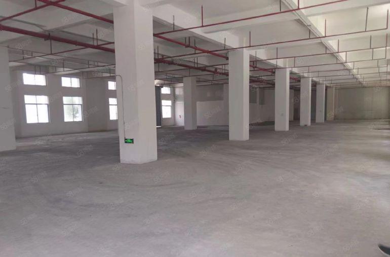 原房东一楼，23一平，新厂房大园区形象好，空地大好停车