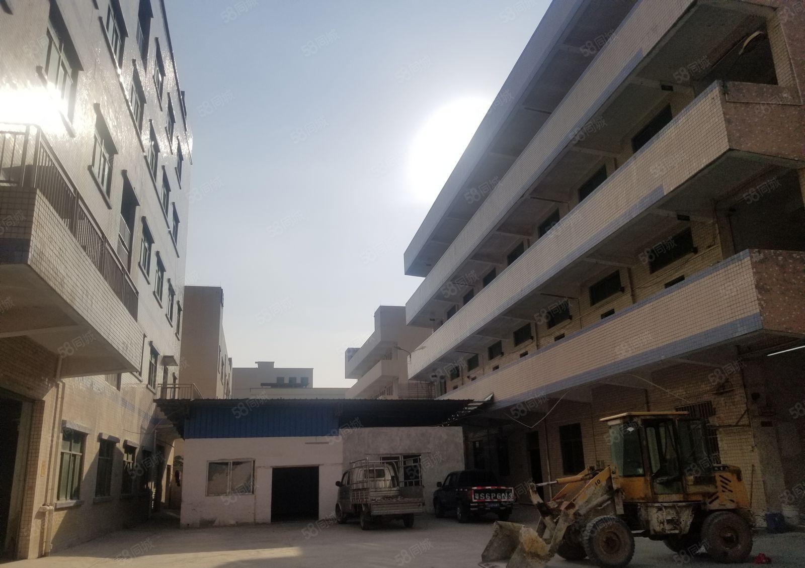 黄江高速入口全新原房东标准独院厂房招租