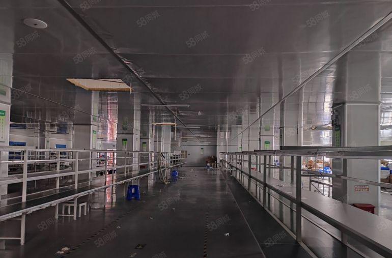 黄江镇11000平方带现成精装修办公室，无尘车间厂房出租