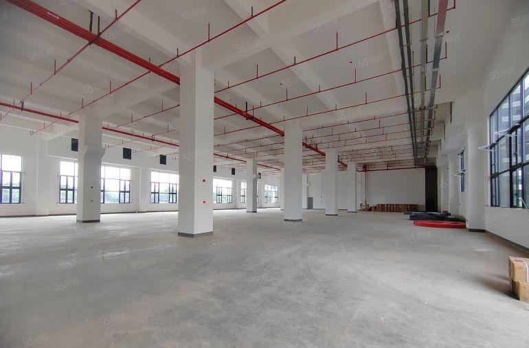 东莞市黄江镇田心村标准厂房一楼，高度7米，现成办公室装修