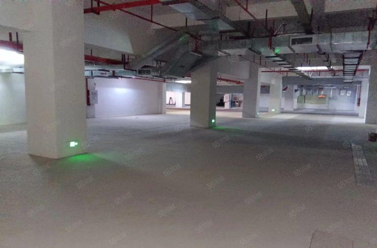 15块一楼，适合仓库，物流，全新厂房，大园区形象好