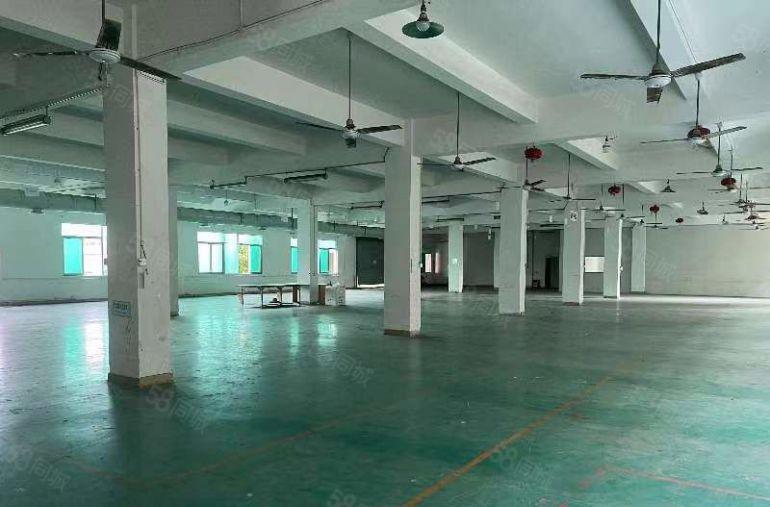 龙华靠黄江原房东东深路标准三层花园式独院厂房出租15元