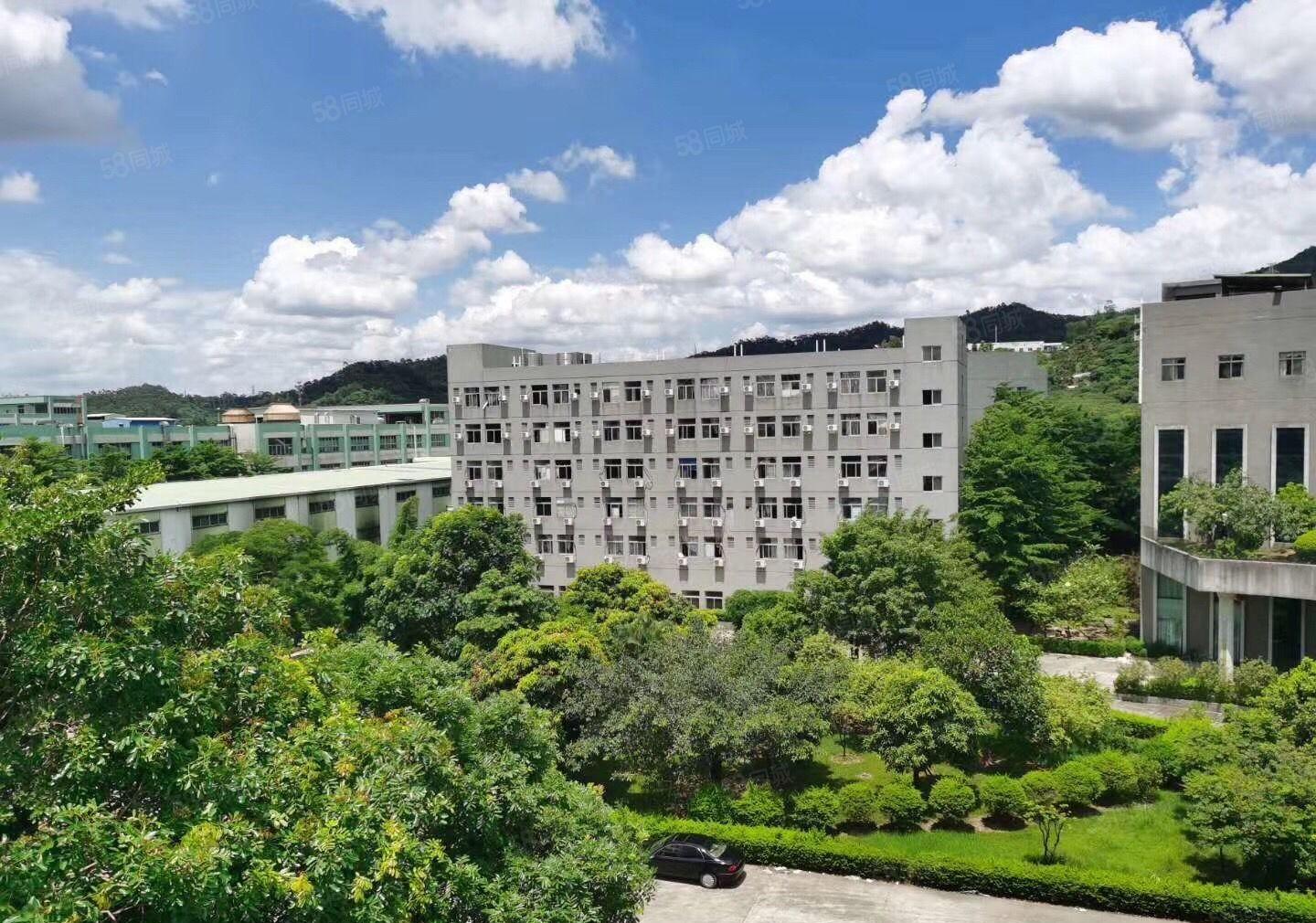 黄江楼上5000平方米精装可分租，水电齐全价格实惠厂房