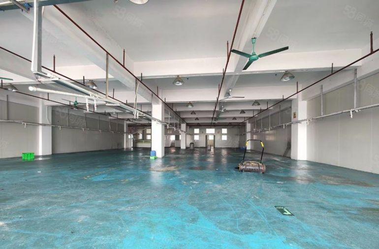 黄江田心独院楼上1300平厂房仓库出租，带装修消防喷淋3吨货