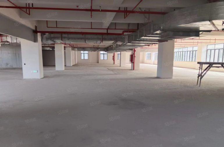 原房东11块一平新厂房，采光好，使用率高，大园区形象好