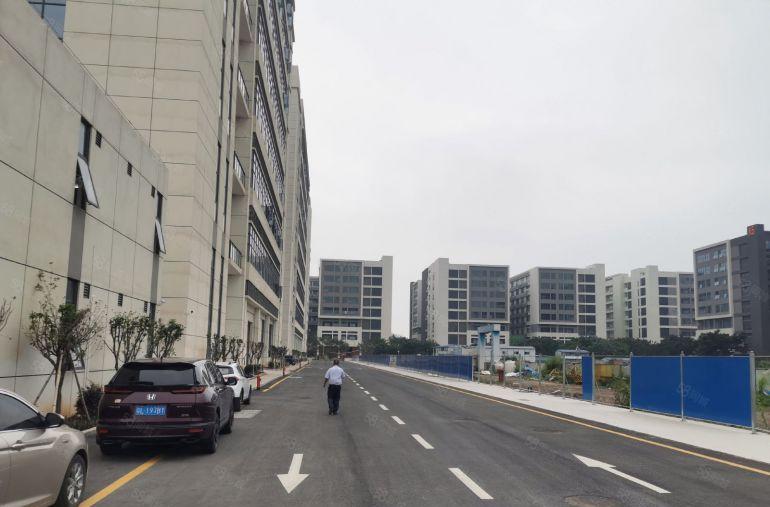 黄江临深全新科技园区招租面积5万平1000平起分享高新补贴