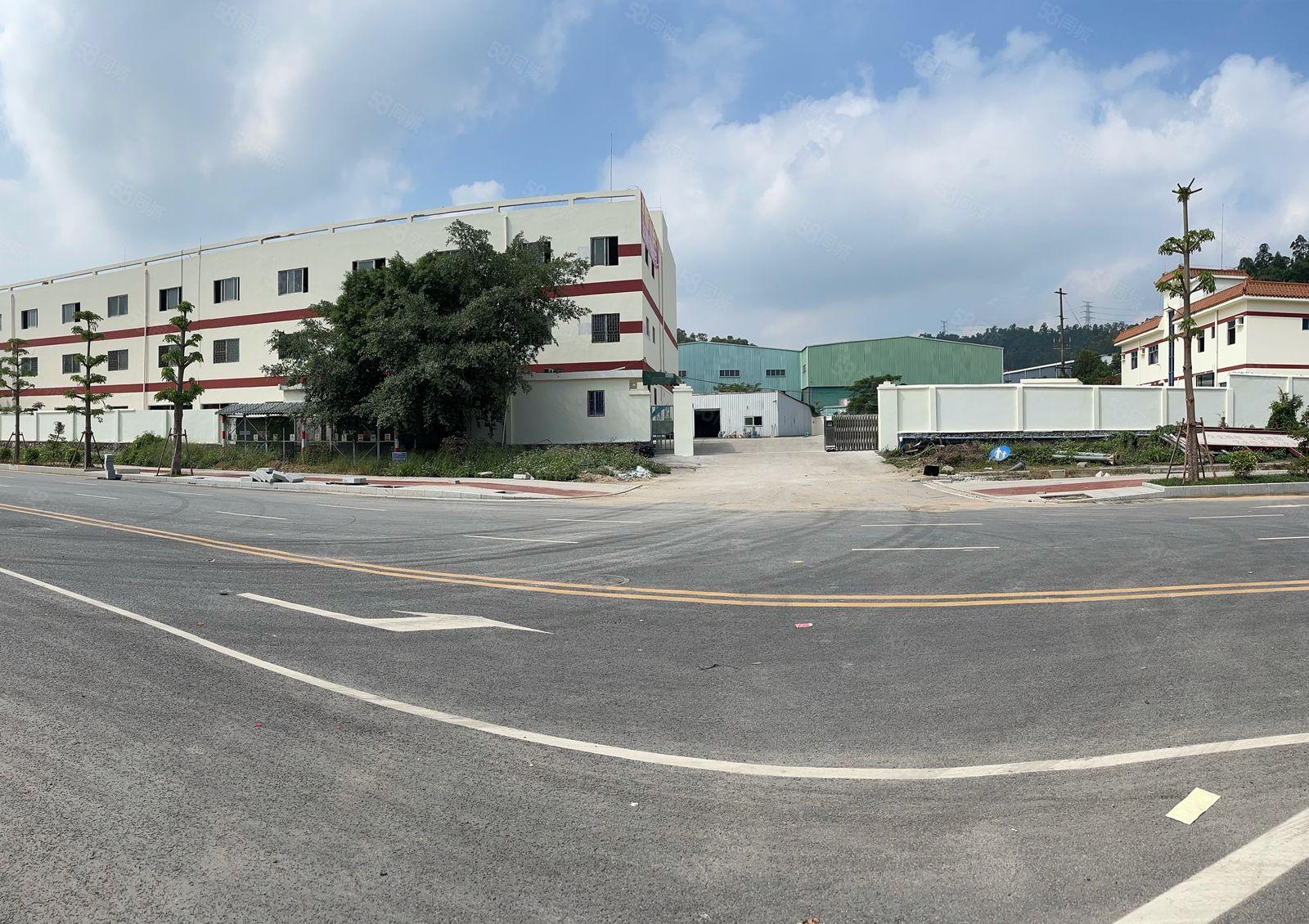 黄江镇梅塘社区独院厂房出租13000平可分租超大空地