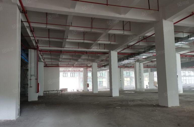 黄江一手房东全新高端大气3.3万厂房出租