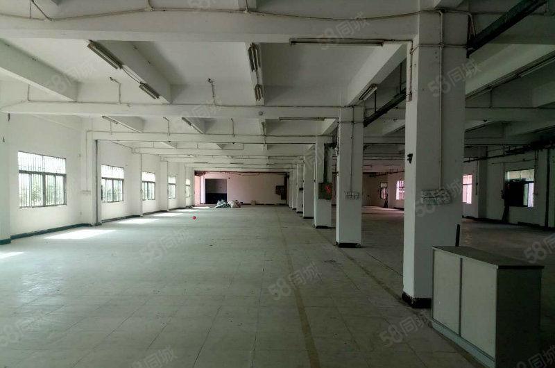 黄江镇中心新出标准一楼700平米6米高