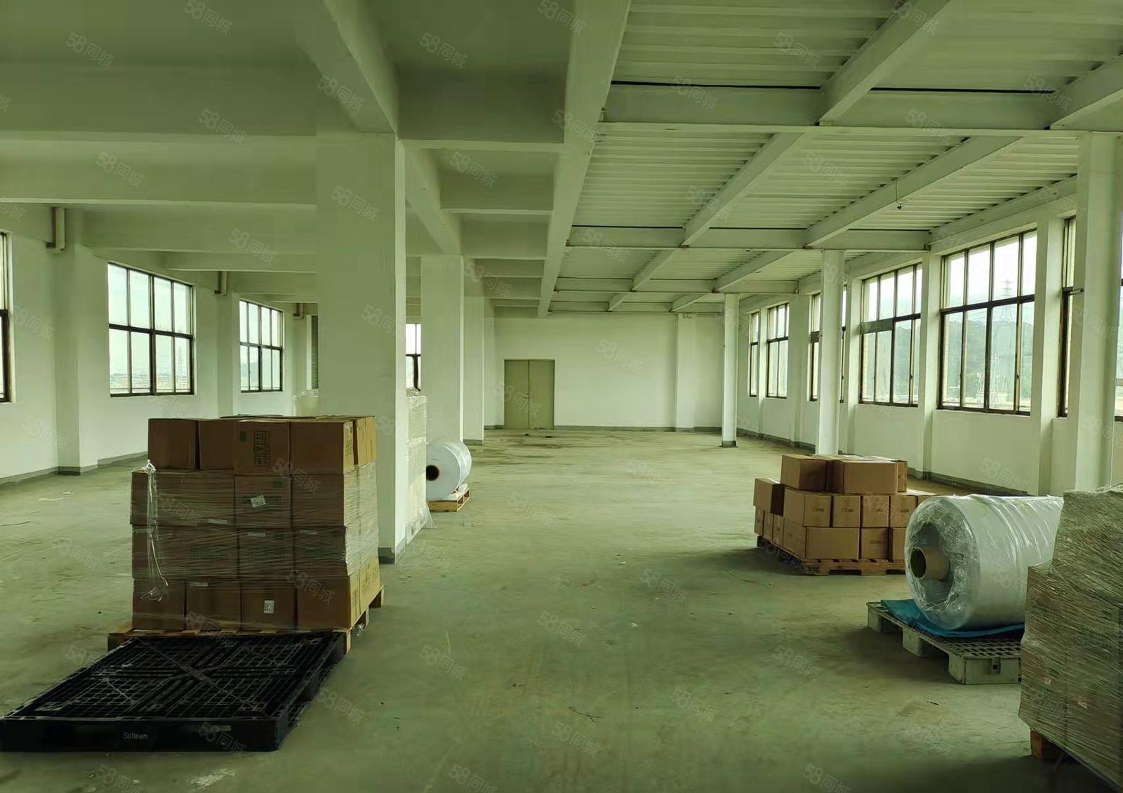 黄江镇社贝村五楼整层410平方实际面积出租带有办公室