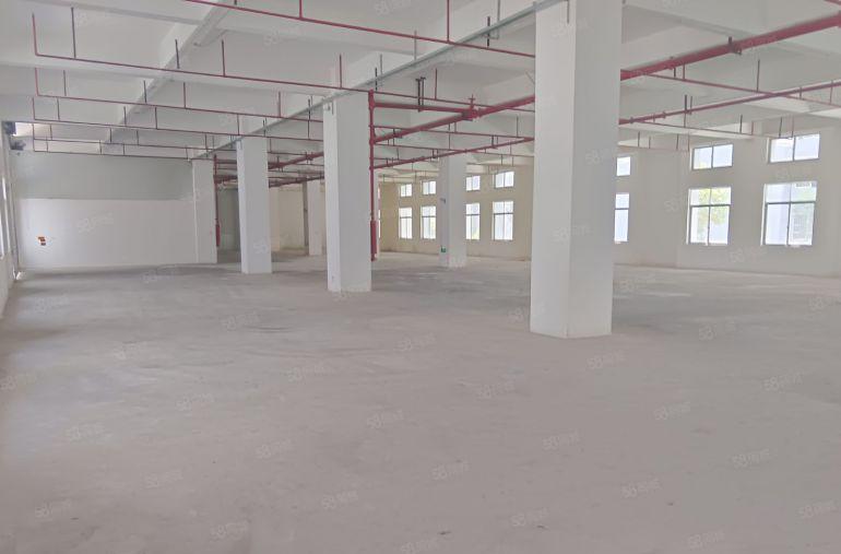 原房东一楼，23一平，新厂房大园区形象好，空地大好停车