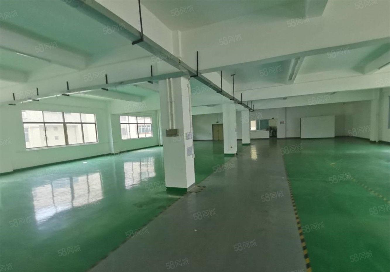 黄江标准厂房出租楼上1100平方，工业区厂房不限行业可办环评