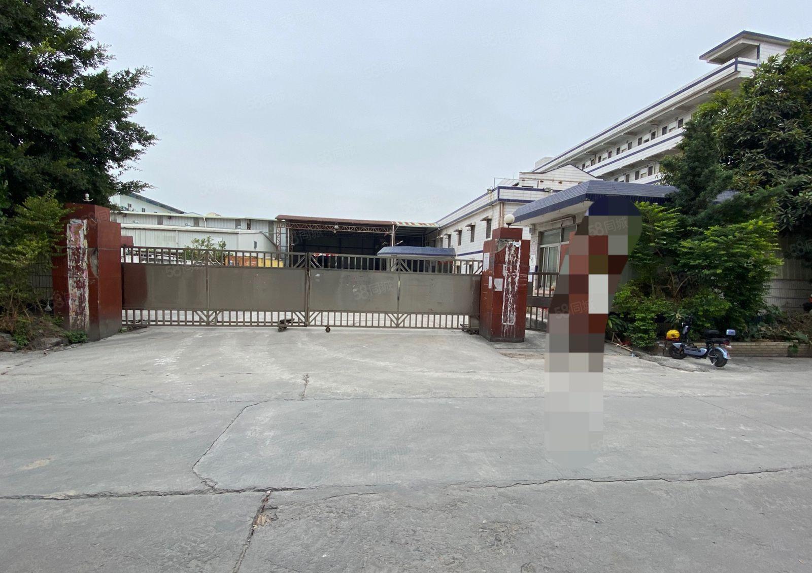 黄江镇中心滴水9米高钢构独院12800平方米出租